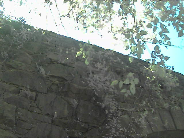 A test image from the local directory